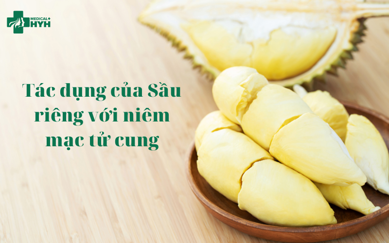 tác dụng của sầu riêng với niêm mạc tử cung